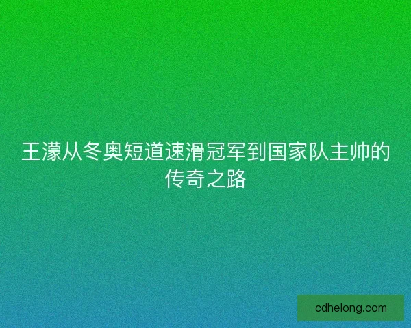 王濛从冬奥短道速滑冠军到国家队主帅的传奇之路