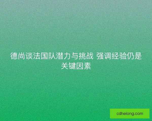 德尚谈法国队潜力与挑战 强调经验仍是关键因素 德尚谈法国队潜力与挑战 强调经验仍是关键因素